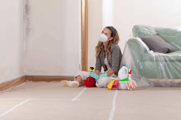 Reliable Commercial Mold Remediation contractor in Mendota, MN by WQB Mold Removal